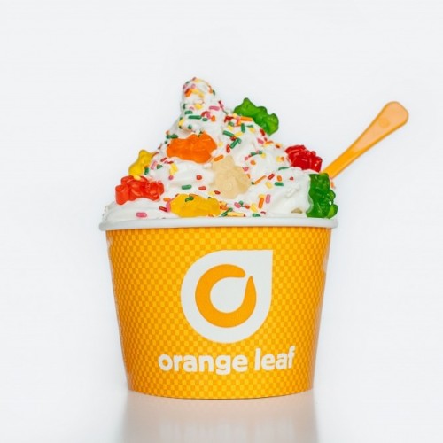 US frozen yogurt concept Orange Leaf Frozen Yogurt has launched in the UAE