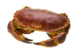 Raw crab; Shutterstock ID 136857944